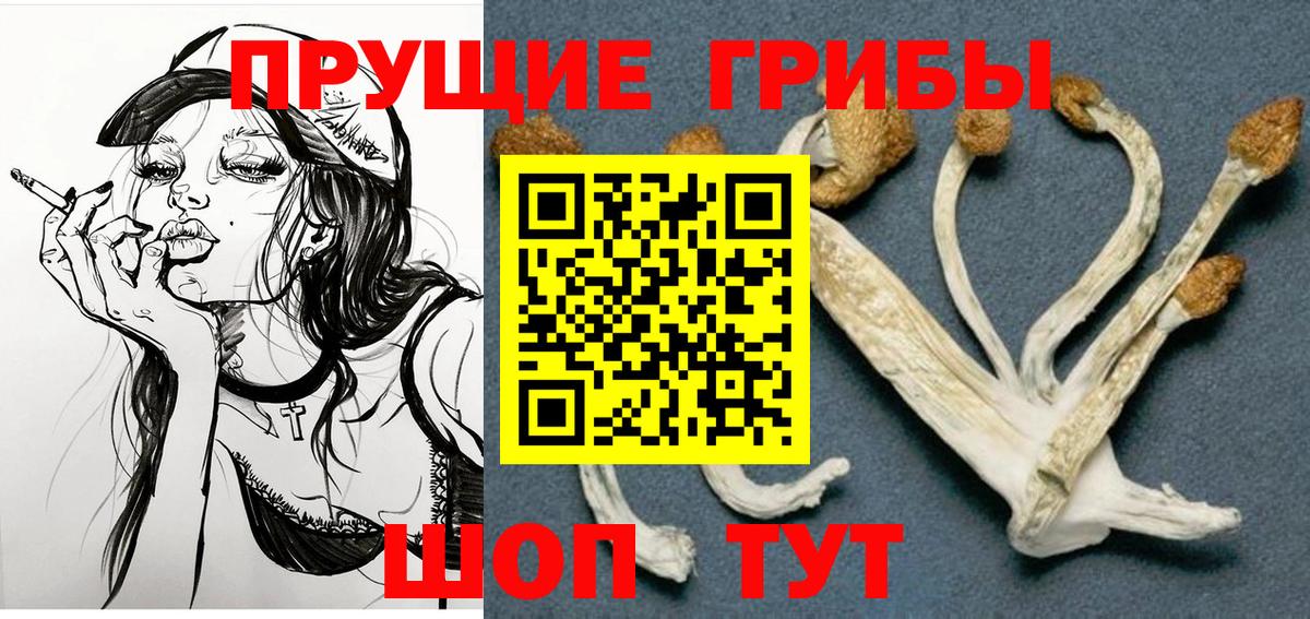 Галлюциногенные грибы ЛСД Тосно